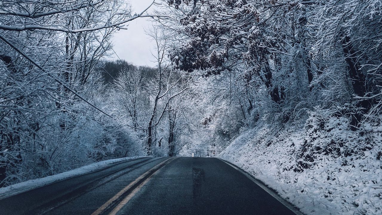 Обои зима, дорога, разметка, деревья, снег