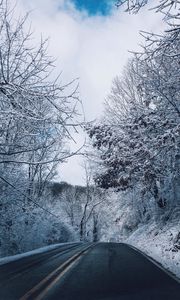 Превью обои зима, дорога, разметка, деревья, снег