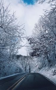 Превью обои зима, дорога, разметка, деревья, снег