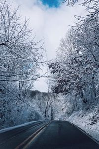 Превью обои зима, дорога, разметка, деревья, снег