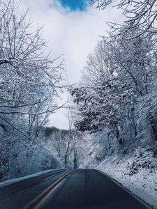 Превью обои зима, дорога, разметка, деревья, снег