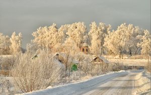 Превью обои зима, дорога, снег, деревья