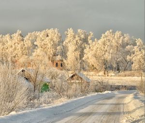 Превью обои зима, дорога, снег, деревья