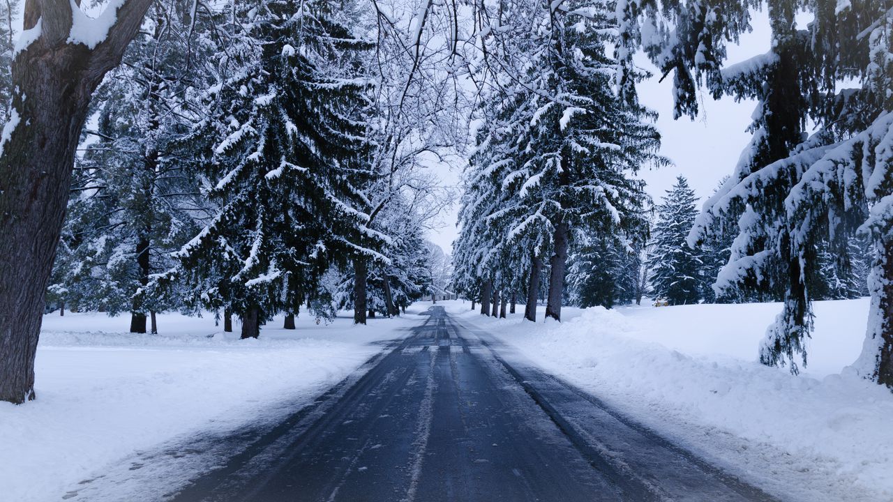 Обои зима, дорога, снег, деревья, зимний пейзаж
