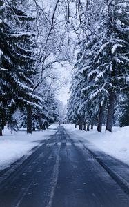 Превью обои зима, дорога, снег, деревья, зимний пейзаж