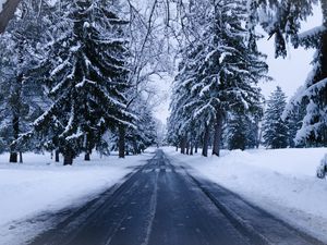 Превью обои зима, дорога, снег, деревья, зимний пейзаж