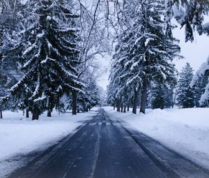 Превью обои зима, дорога, снег, деревья, зимний пейзаж
