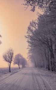 Превью обои зима, дорога, снег, деревья, туман