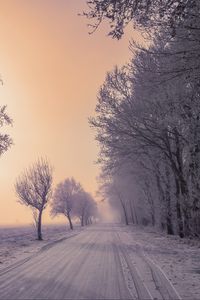 Превью обои зима, дорога, снег, деревья, туман