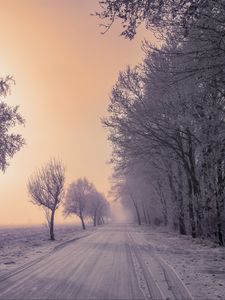 Превью обои зима, дорога, снег, деревья, туман