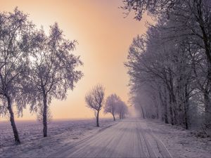 Превью обои зима, дорога, снег, деревья, туман