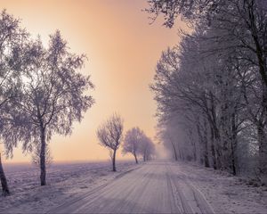 Превью обои зима, дорога, снег, деревья, туман