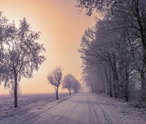 Превью обои зима, дорога, снег, деревья, туман