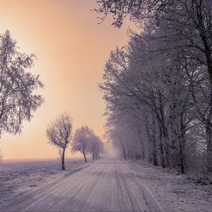 Превью обои зима, дорога, снег, деревья, туман