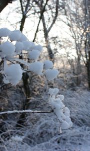 Превью обои зима, дорога, снег, трава, мороз