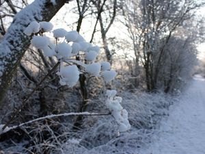 Превью обои зима, дорога, снег, трава, мороз