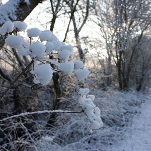 Превью обои зима, дорога, снег, трава, мороз