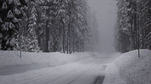 Превью обои зима, дорога, снег, ельник, панорама