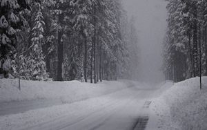Превью обои зима, дорога, снег, ельник, панорама