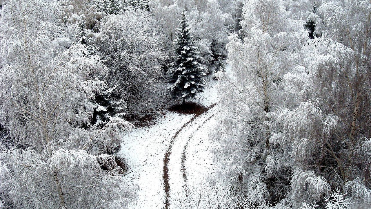 Обои зима, дорога, снег, иней, деревья, сверху, заморозки