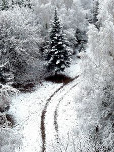 Превью обои зима, дорога, снег, иней, деревья, сверху, заморозки