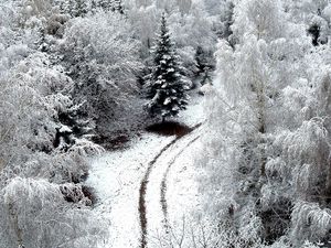 Превью обои зима, дорога, снег, иней, деревья, сверху, заморозки