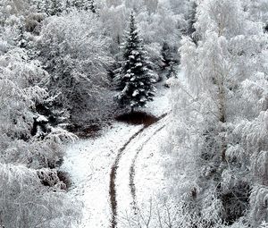 Превью обои зима, дорога, снег, иней, деревья, сверху, заморозки