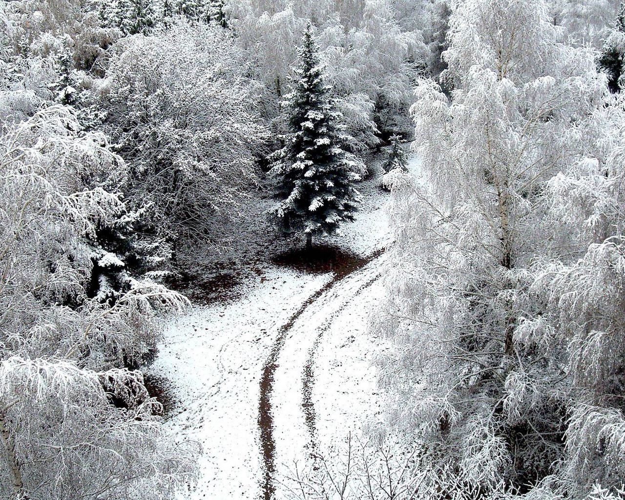 Картинки заморозки весной