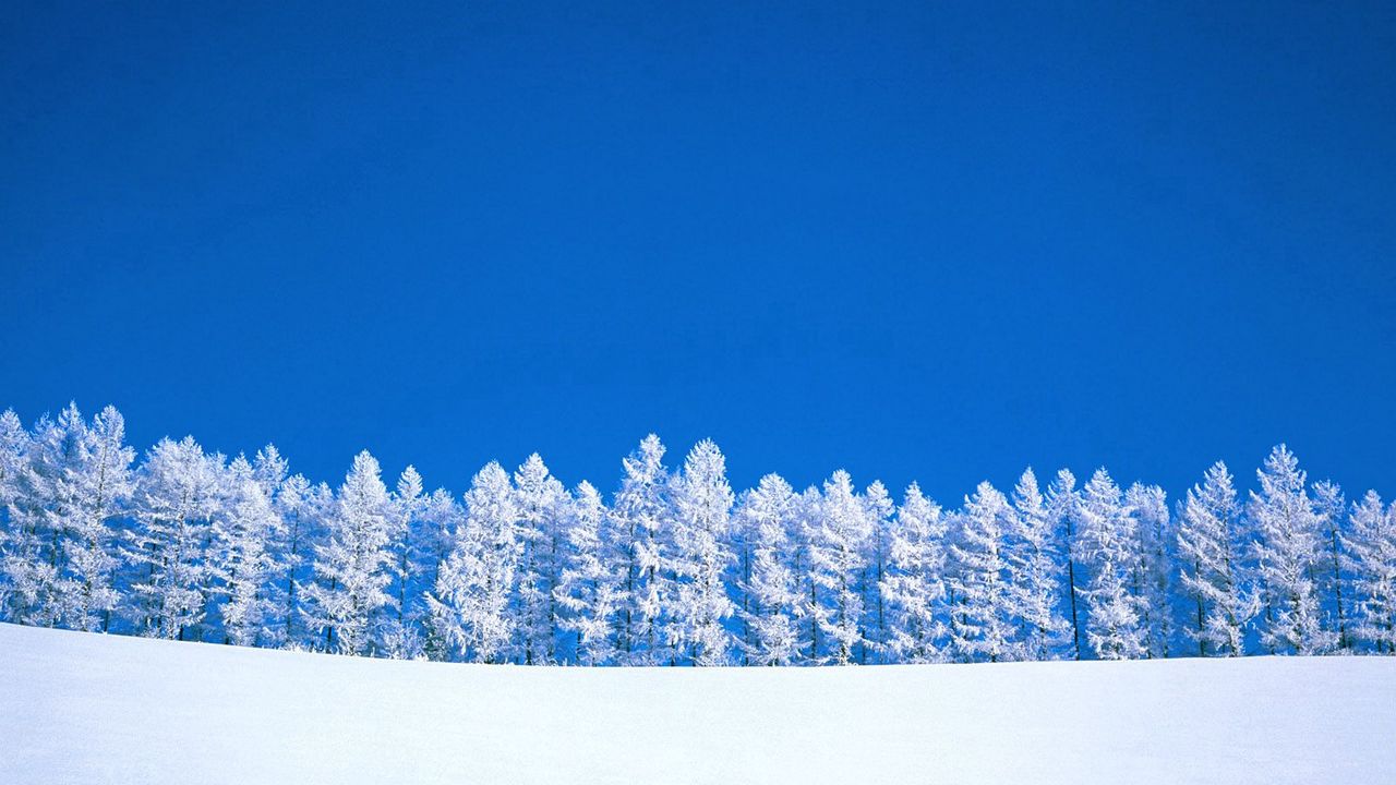 Обои зима, голубой, белый, небо, чистое, деревья
