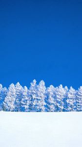 Превью обои зима, голубой, белый, небо, чистое, деревья