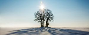 Превью обои зима, горизонт, дерево, снег, солнечный свет