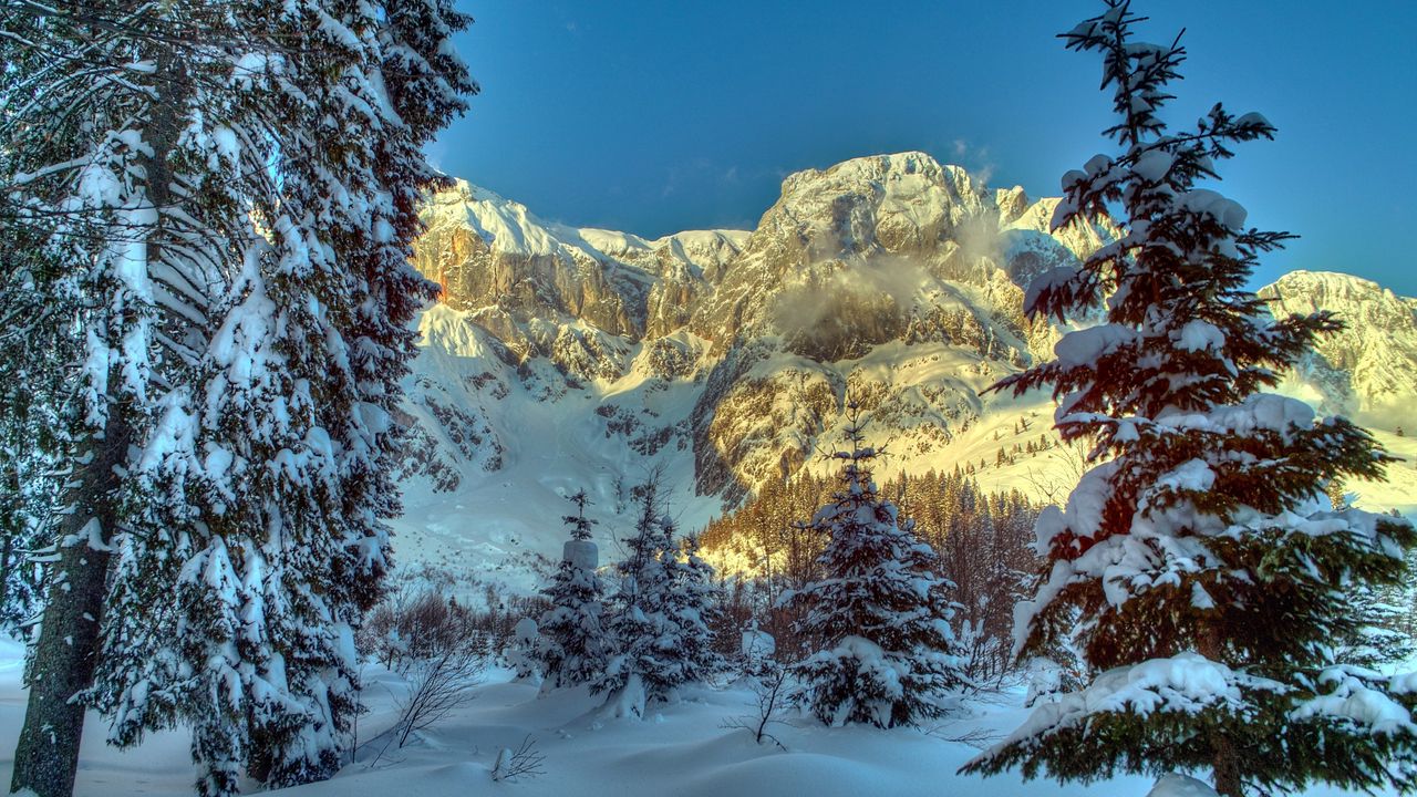 Обои зима, горы, австрия, снег, деревья, ель, альпы, природа