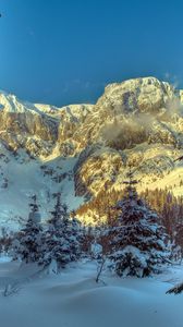 Превью обои зима, горы, австрия, снег, деревья, ель, альпы, природа