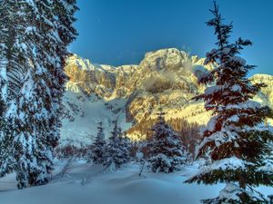 Превью обои зима, горы, австрия, снег, деревья, ель, альпы, природа