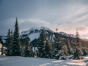 Превью обои зима, горы, ели, снег