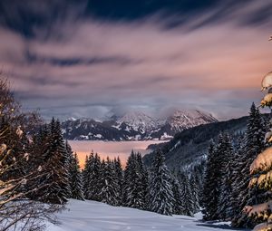 Превью обои зима, горы, снег, деревья, бавария, германия