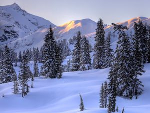 Превью обои зима, горы, снег, деревья