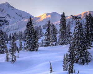 Превью обои зима, горы, снег, деревья