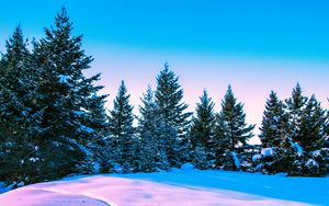 Превью обои зима, лес, деревья, яркий, небо