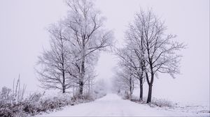 Превью обои зима, лес, деревья, снег, дорога, туман
