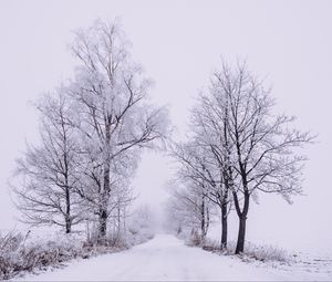 Превью обои зима, лес, деревья, снег, дорога, туман
