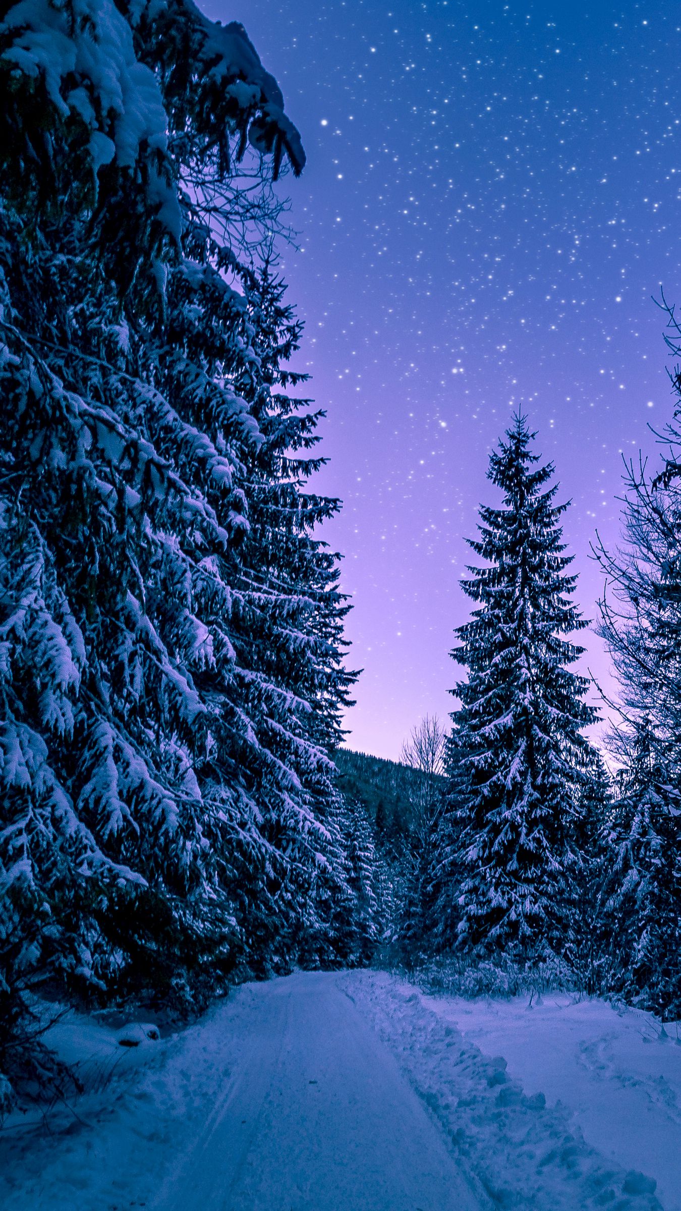 Скачать 1350x2400 зима, лес, дорога, снег, звездное небо обои, картинки  iphone 8+/7+/6s+/6+ for parallax