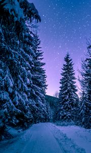 Превью обои зима, лес, дорога, снег, звездное небо
