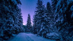 Превью обои зима, лес, дорога, снег, звездное небо
