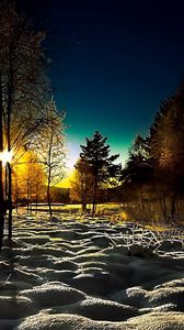 Превью обои зима, лес, молодняк, рассвет, утро, тени, покров, сугробы