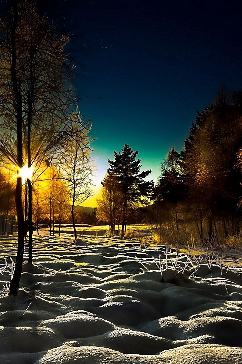 картинки на телефон природа зима