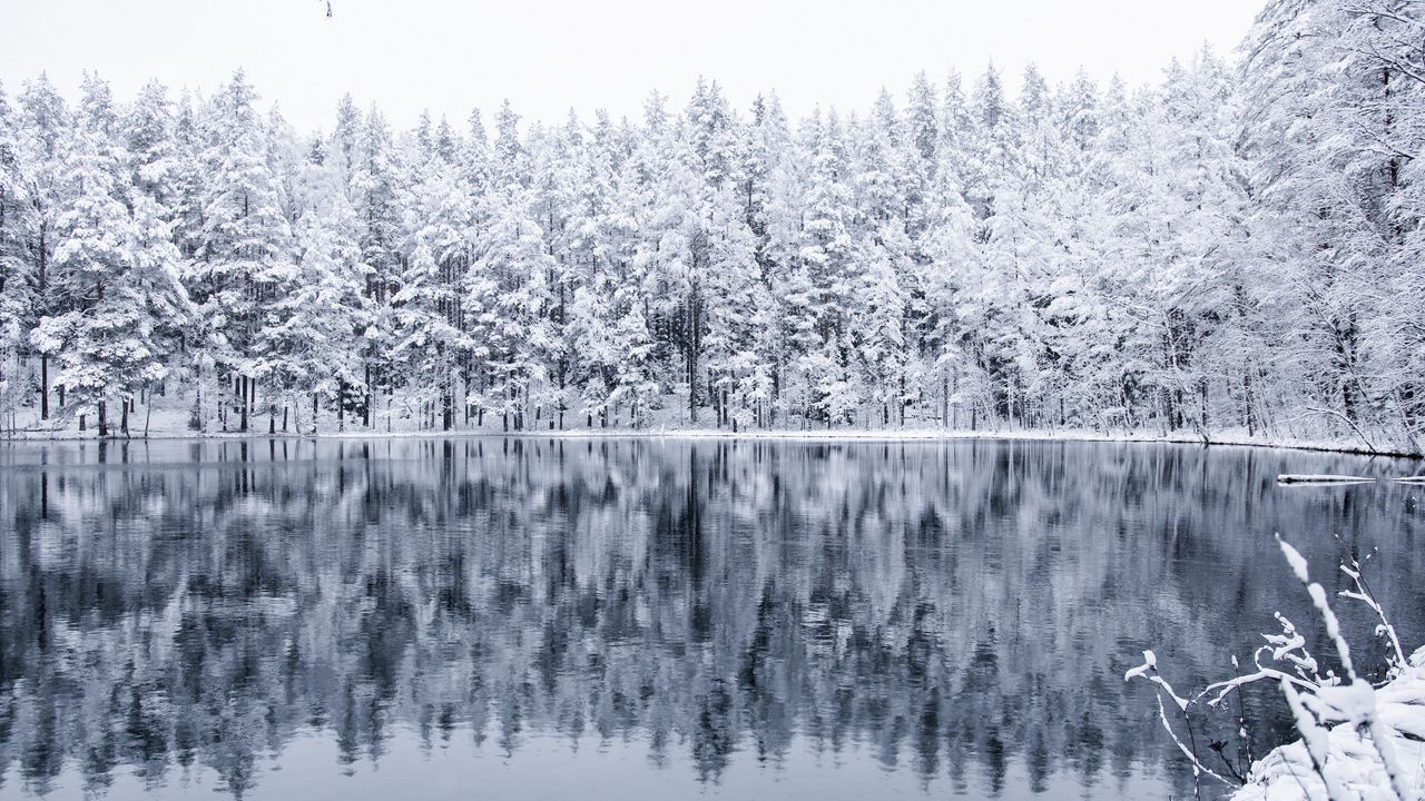 Обои зима, лес, озеро, снег, отражение