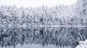 Превью обои зима, лес, озеро, снег, отражение