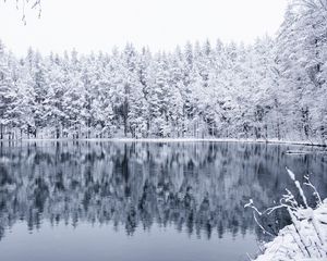 Превью обои зима, лес, озеро, снег, отражение