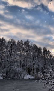 Превью обои зима, лес, озеро, снег